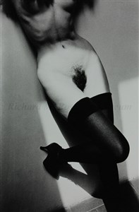 Image description is not available for 2013.054